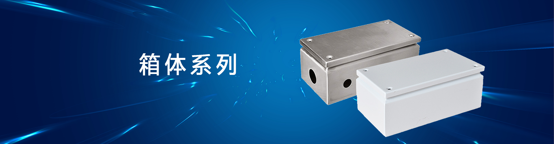 仿威图机柜箱体系列